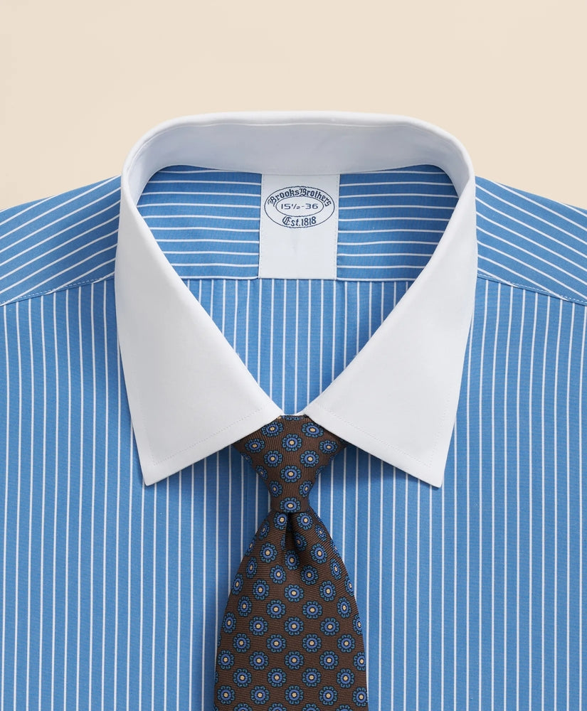 Ground Stripe Dress Shirt Pure Supima® Cotton Regular-Finish Ainsley Collar